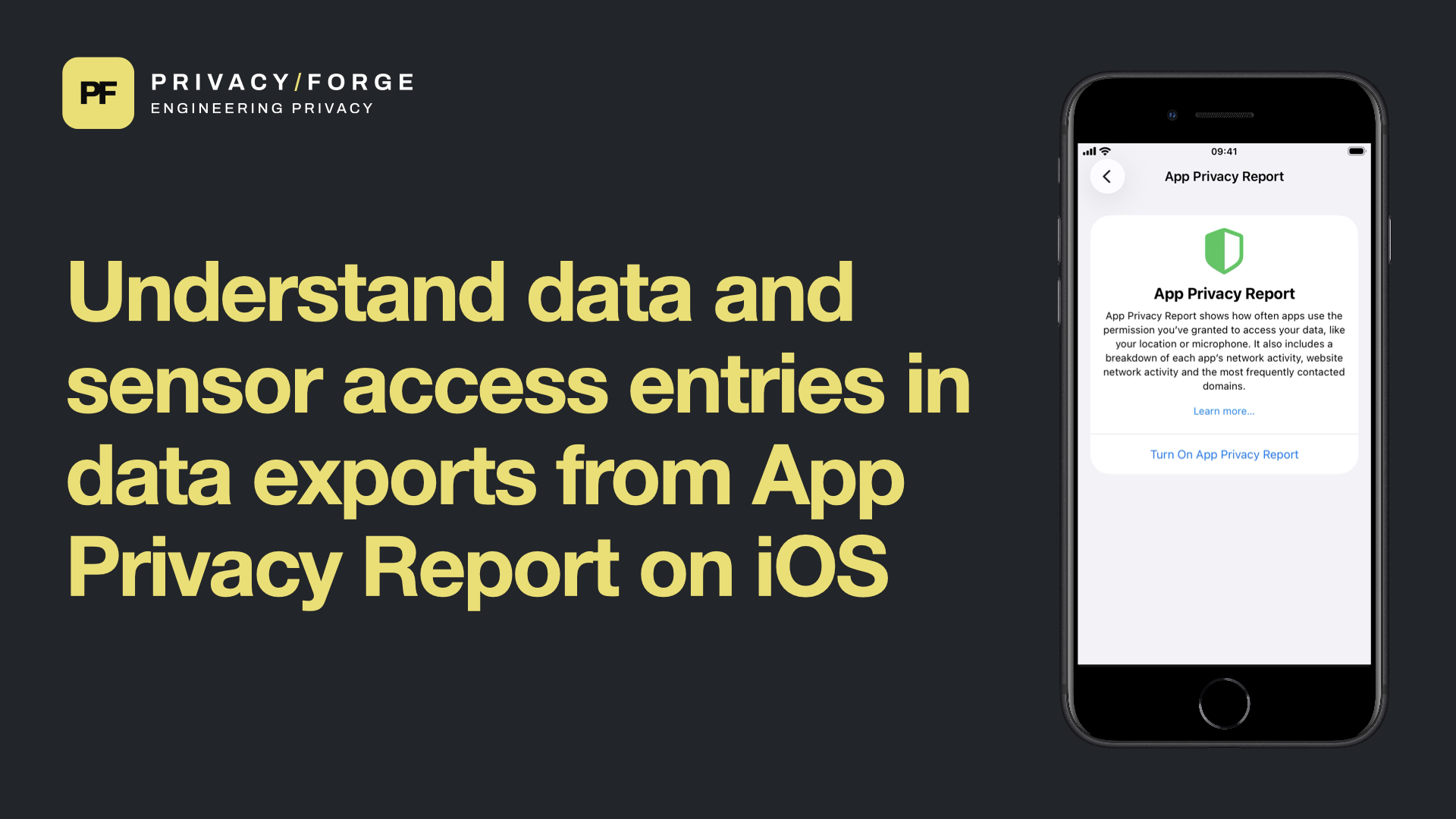 Understand data and sensor access entries in data exports from App Privacy Report on iOS